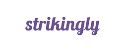 Strinkingly- partners, platforms & integrations - Web Design & Development Agency - Miami | Austin - Klashtech